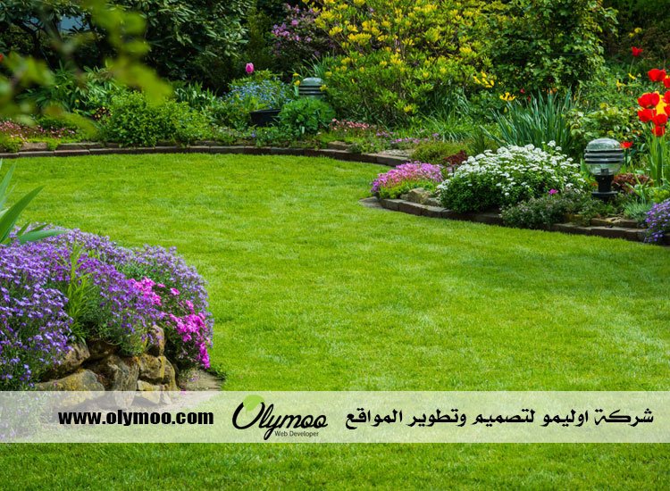 شركة تنسيق حدائق بالرياض