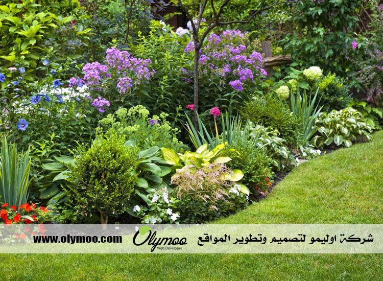 شركة تنسيق حدائق بالرياض