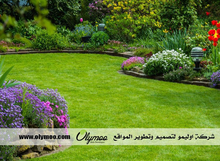 شركة تنسيق حدائق بالرياض