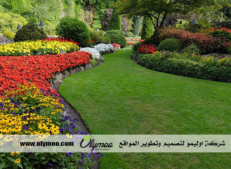 شركة تنسيق حدائق بالرياض