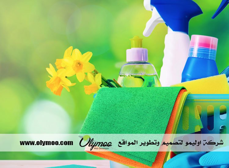 شركة تنظيف في دبي