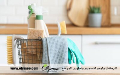 شركة تنظيف في دبي