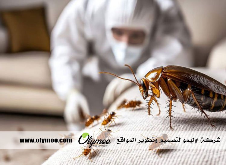شركة مكافحة حشرات بجدة