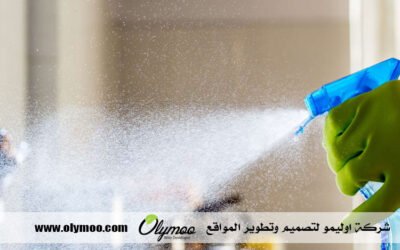 شركة تنظيف في دبي