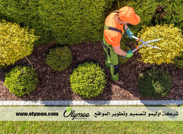 تركيب عشب صناعي بالرياض