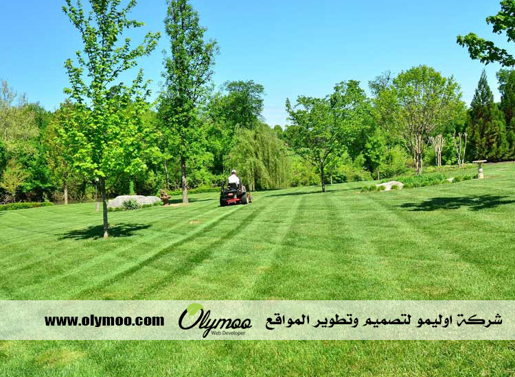 تركيب عشب صناعي بالرياض