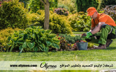 تركيب عشب صناعي بالرياض
