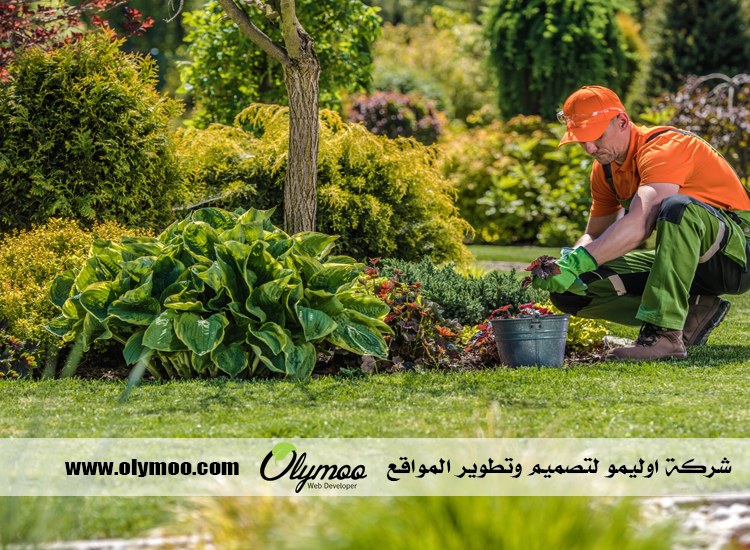تركيب عشب صناعي بالرياض
