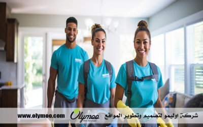 شركة تنظيف في دبي