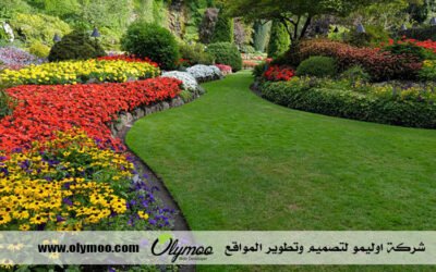 شركة تركيب عشب صناعي بالرياض