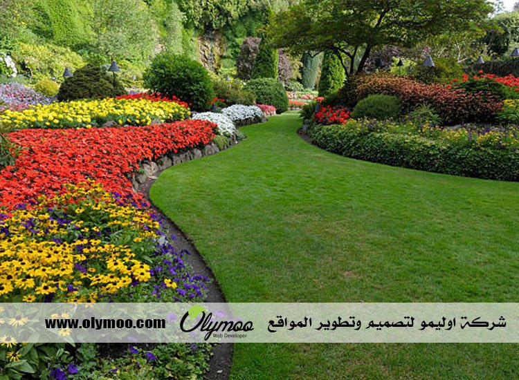 شركة تركيب عشب صناعي بالرياض